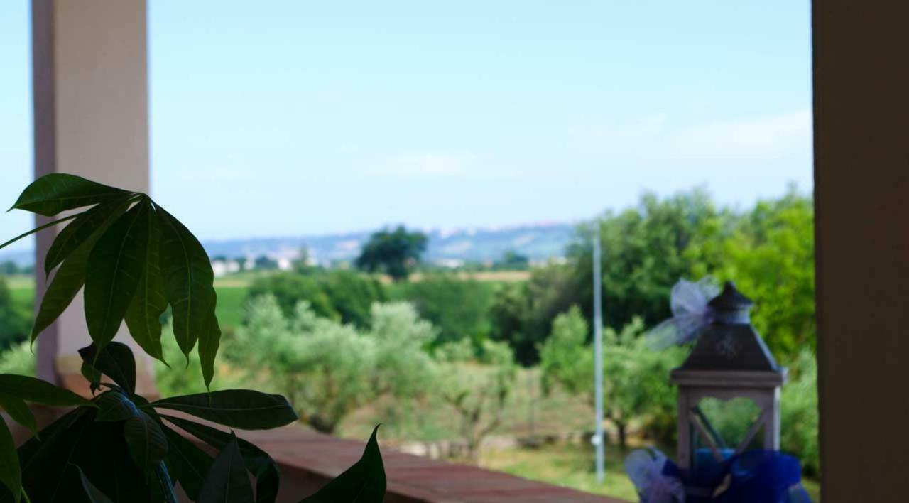 Montecosaro  B&B Armonia المظهر الخارجي الصورة